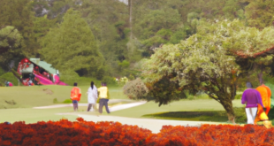 review wisata Cibodas Botanical Garden jawa barat